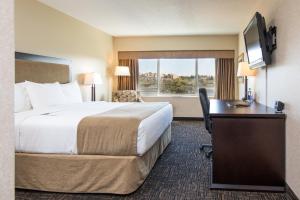 萨斯卡通城镇公园酒店的酒店客房配有一张床、一张书桌和一台电视。