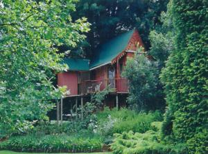 WindySycamore Avenue Treehouses & Cottages Accommodation的树林中带绿色屋顶的红色小屋