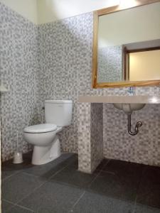 吉利美诺嘉格拉别墅 的一间带卫生间、水槽和镜子的浴室