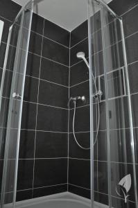 斯托泽克Apartmány Stožec - Stela Premium的浴室设有黑色瓷砖淋浴。