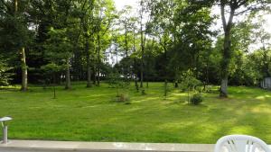 翁德洛Ferienwohnung Huus ton witten Barg的一片草木丛中的公园