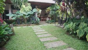 乌布Puri Cantik的种植了草和草的草木和植物的花园