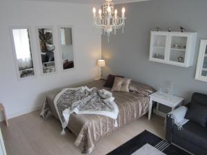 罗瓦涅米皮里科公寓的一间卧室配有一张床、一张沙发和一个吊灯。