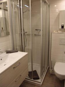 比苏姆Haus-Norderpiep的带淋浴、盥洗盆和卫生间的浴室
