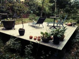 布兰肯海姆Ferienwohnungen-Willrich-Ferienwohnung-2的木甲板上种有盆栽植物,配有椅子