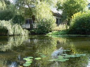 克莱西红磨坊维伊住宿加早餐酒店的一座房子前面的池塘里放着百合花