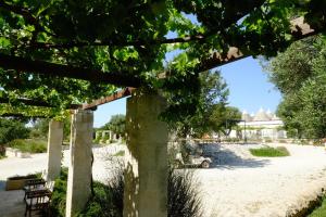马丁纳弗兰卡Masseria Trulli e Vigne的从树下可欣赏到花园景色