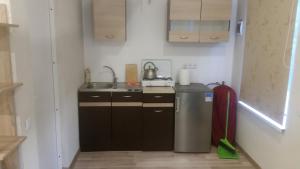 斯文托伊Ošupio poilsis的一间带水槽和冰箱的小厨房