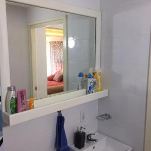 WillebrordusFlamingo Sunsets Apartment的浴室设有镜子、水槽和镜子