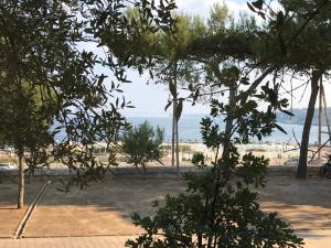 圣凯撒利亚温泉Camping Porto Miggiano的从树后方可欣赏到海滩景色