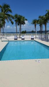 马拉松Knight's Key Suites的一座棕榈树环绕的大型游泳池