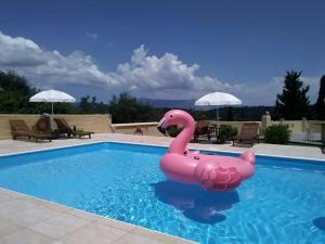 Ágios Ioánnis美丽达别墅的游泳池里的粉红色充气天鹅