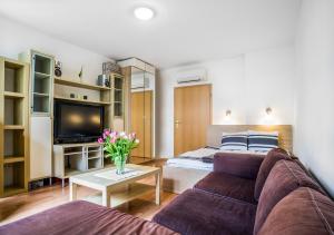 布达佩斯可爱考文公寓的带沙发和电视的客厅
