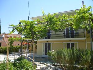 圣佐治欧斯帕贡Giannis的前面有树木的黄色房子