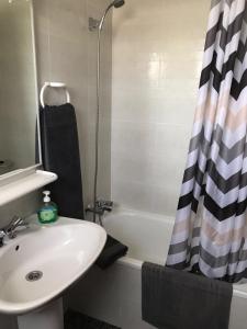卡尔多纳维沃里旅馆的一间带水槽和淋浴帘的浴室