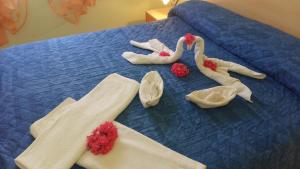 梵蒂冈角Villettemire的一张带两个天鹅的毛巾床