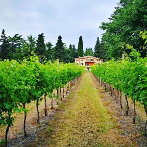 科拉迪拉齐塞伊登住宅酒店的相册照片