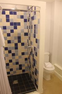 梅瑟蒂德菲尔楠特都Spa酒店的带淋浴和卫生间的浴室
