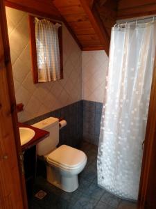 圣卡洛斯-德巴里洛切卡勒恩-休酒店的一间带卫生间和淋浴帘的浴室