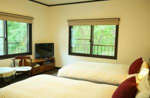 白马村Hakuba Skala Inn的一间卧室设有两张床、一台电视和两个窗户。