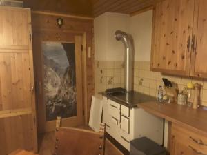 施图默尔贝格Steinwandhütte的客房内的厨房配有炉灶烤箱