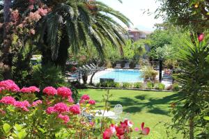 卡尔维Résidence Le Home的一个带游泳池和粉红色鲜花的花园