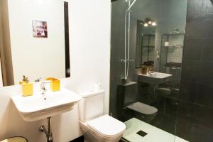 马德里塞戈维亚公寓的浴室配有卫生间、盥洗盆和淋浴。