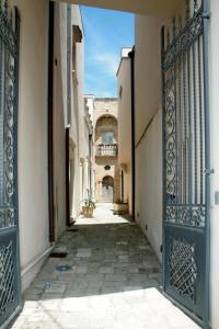 卡萨拉诺Palazzo Gallo的大楼内一条有大门的小巷
