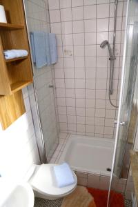 申瓦尔德Landhotel Garni Schweizerhaus的带淋浴、卫生间和浴缸的浴室