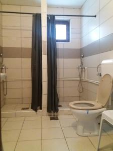 普卢日内Motel Zaborje的一间带卫生间和淋浴的浴室