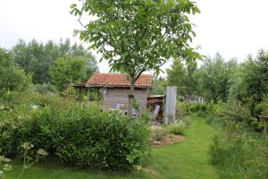 斯塔福伦De olde banck的一座花园,花园内有小房子和一棵树
