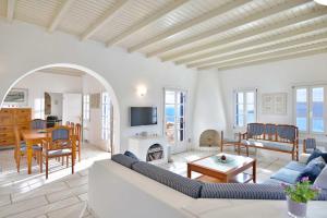 埃利亚海滩Mykonian Dianthus的带沙发和壁炉的客厅