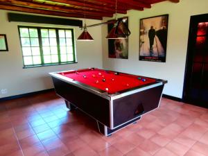 米德兰非洲脚印旅馆的台球室,配有红色台球桌