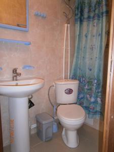 新阿丰Guest house Barhatniy sezon的一间带卫生间和水槽的浴室