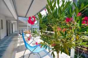希欧福克Villa Oliver 3 Siófok的阳台配有桌椅和粉红色的鲜花