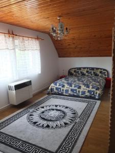 蒂萨菲赖德Osho Vendégház的卧室配有一张床,地板上铺有地毯