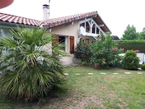 AngresseLe Soleil Couchant的院子里两棵棕榈树的房子