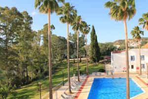 阿尔科廷阿尔科廷酒店的棕榈树泳池的空中景致