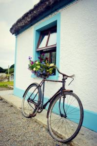 卡尔达夫Biddys Cottage的停在房子前面的一辆自行车,上面放着一篮鲜花