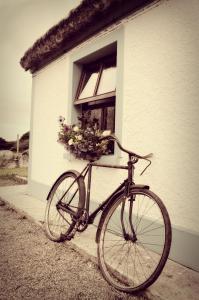 卡尔达夫Biddys Cottage的停在一座花篮的建筑前面的自行车