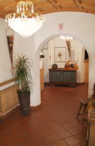 斯泰尔维奥哥曼尔火富酒店的走廊上设有吊灯和盆栽植物