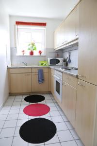 海德堡海德堡夏洛特公寓的厨房配有白色橱柜和红色及黑色装饰