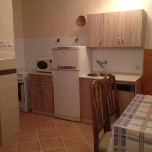 凯斯特海伊加拉布兹公寓的厨房配有白色冰箱和水槽