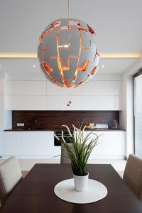 华沙莫克托夫多莫特尔公寓的厨房配有带盆栽的桌子