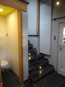 卡德赞德Luxe kamer Cadzand的浴室设有通往卫生间的楼梯。