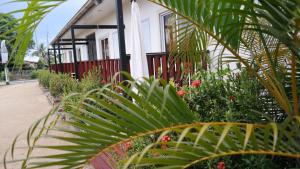 帕拉马里博Tropico Inn的前面有植物的房子