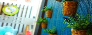 宿务摄约波斯特尔旅馆的蓝色的墙上有胡萝卜和植物