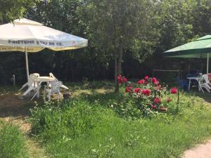 艾福雷诺德Bungalow Eforie Nord的花园设有桌子、雨伞和鲜花