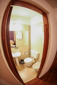 圣路易斯双鹿酒店的一间带卫生间和水槽的浴室