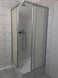 福纽德Apartment Altorjai的浴室里设有玻璃门淋浴